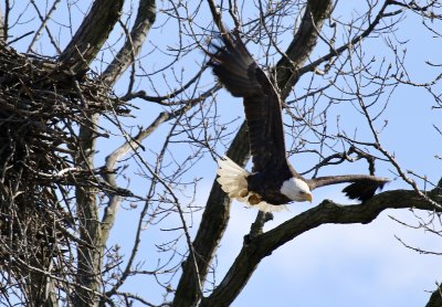 IMG_9824.jpg
