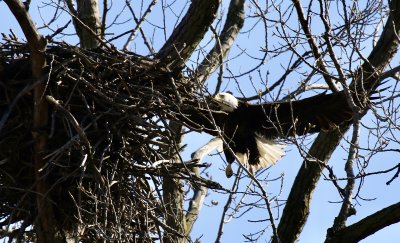 IMG_9838.jpg