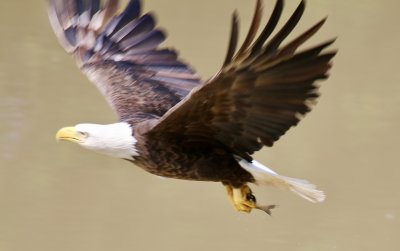 IMG_1601.jpg