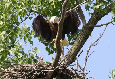 IMG_1612.jpg