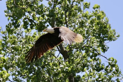 IMG_1831.jpg