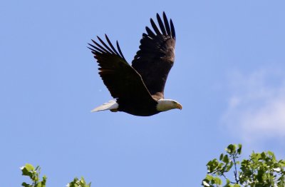 IMG_1853.jpg