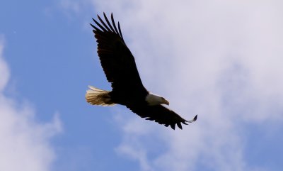 IMG_1855.jpg