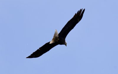 IMG_1862.jpg