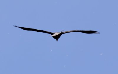 IMG_1867.jpg