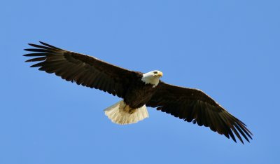 IMG_2103.jpg