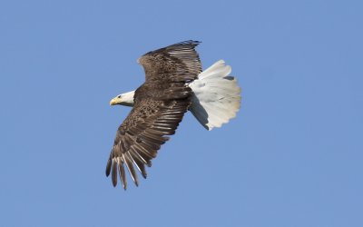 IMG_2188.jpg
