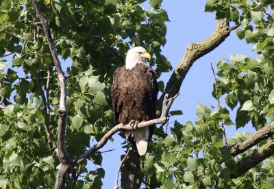 IMG_2535.jpg