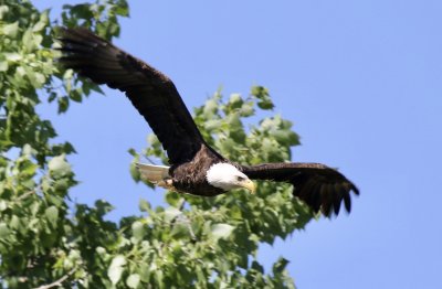 IMG_2582.jpg