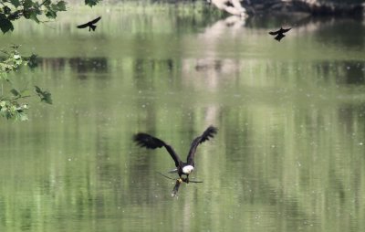 IMG_2703.jpg
