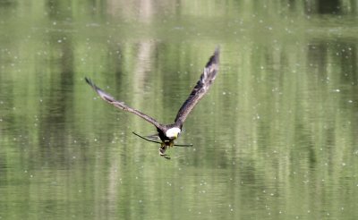 IMG_2704.jpg