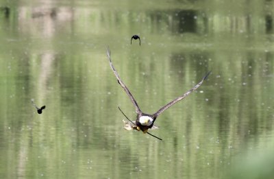 IMG_2708.jpg