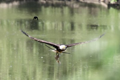 IMG_2710.jpg