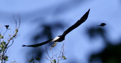 IMG_2721.jpg