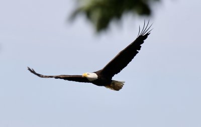 IMG_2851.jpg