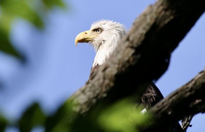 IMG_2889.jpg