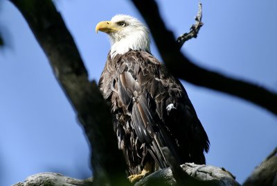 IMG_2899.jpg