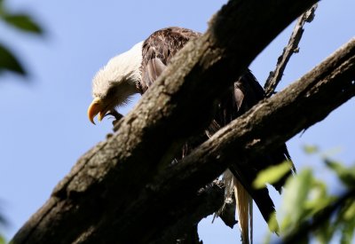 IMG_2905.jpg