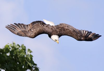 IMG_3225.jpg