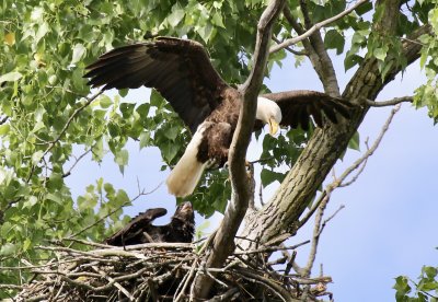 IMG_3410.jpg