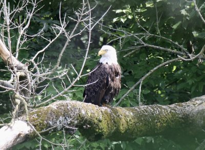 IMG_3636.jpg