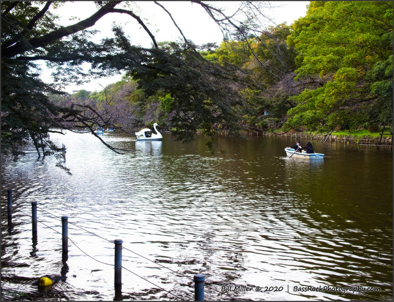 Lakeside