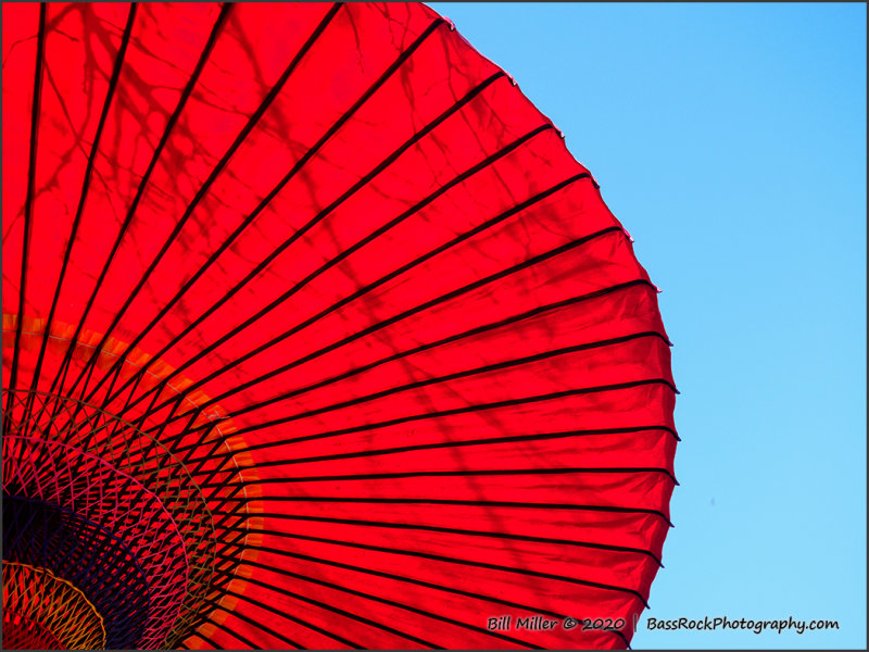 Parasol