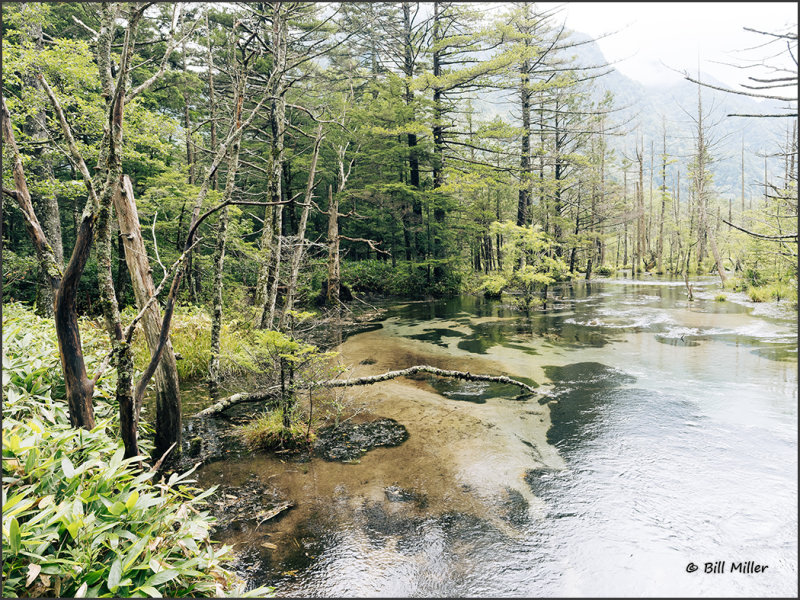 Kamikochi Valley