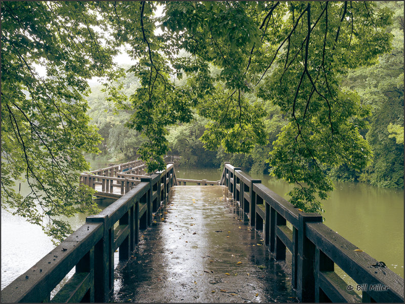Across the Bridge in the Rain