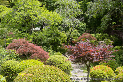 g12/97/460597/3/171676537.NjlFLHw0.jpg