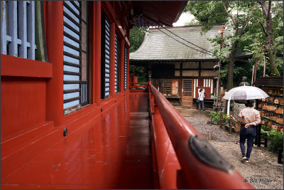 Mika and the Temple in the Rain