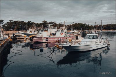 Fishing Boats