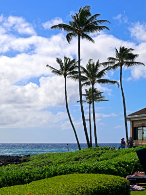 Beaches and Basalt Rocks