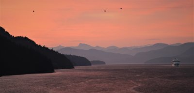 IMG_0791.jpg