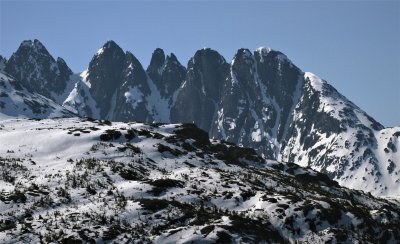 IMG_9593.jpg