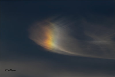 Sundog