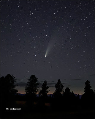  Neowise Comet 