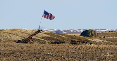  Old Glory - Lots of burned ground from last years fires on the Waterville Plateau