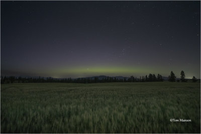  Northern Lights -They were weak the night I tried.