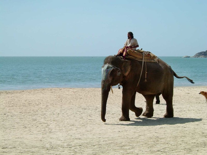 india-7257.jpg