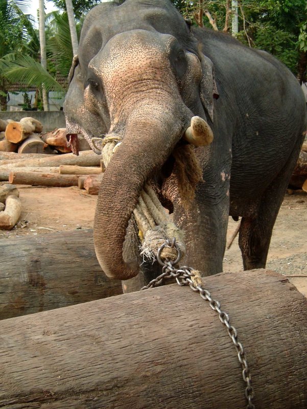 india-9484.jpg