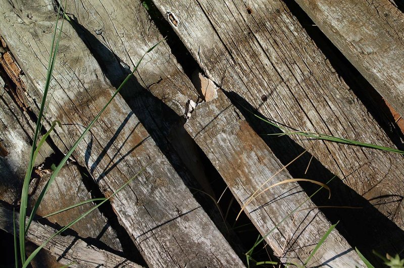 Hout-planken058.jpg