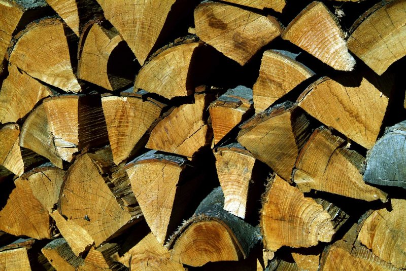 Hout3110.jpg