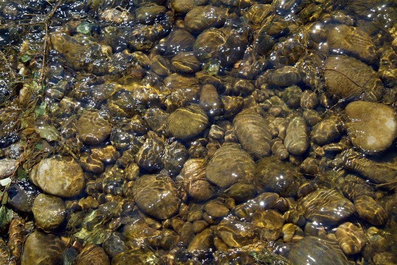 Stone6456.jpg