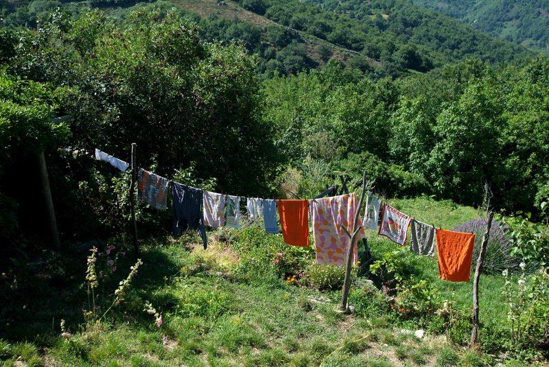 Wash6311.jpg