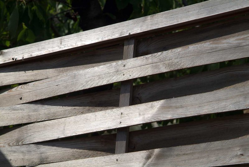Wood1304.jpg