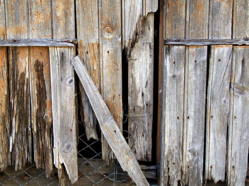 Wood2514.jpg