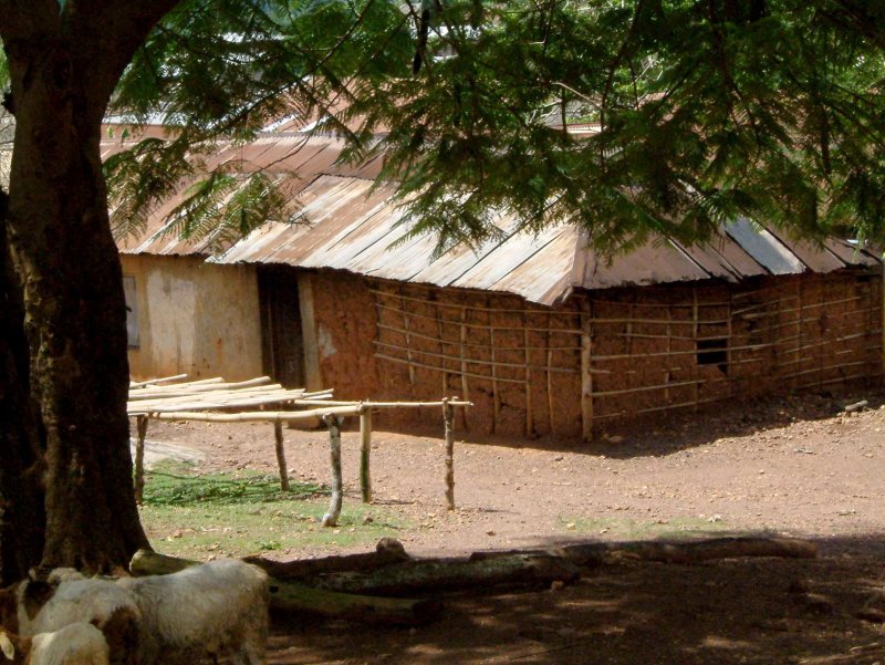 Africa-hutten99.jpg