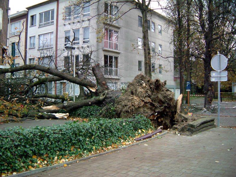 Boom-onweer-77.jpg