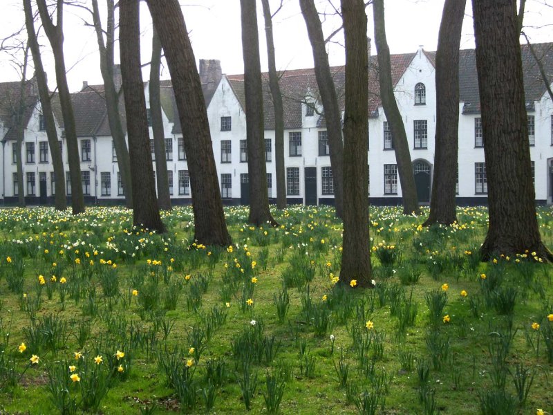 Brugge2111.jpg